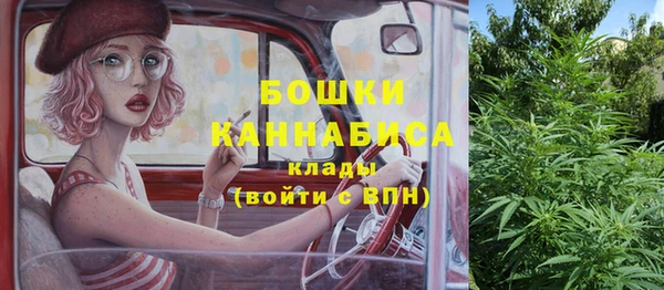 спайс Алексин