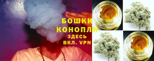 спайс Алексин